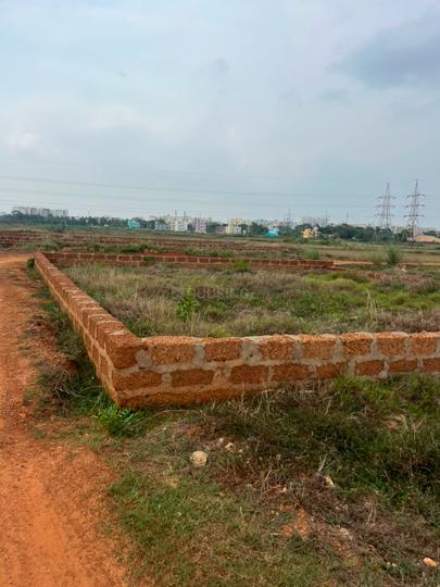 Patrapoda Main Image 1