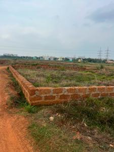 Patrapoda Plot View 1