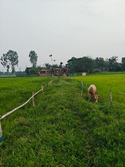 Sonarpur Main Image 1