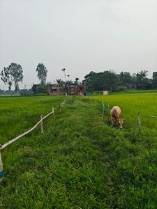 Sonarpur Plot View 1