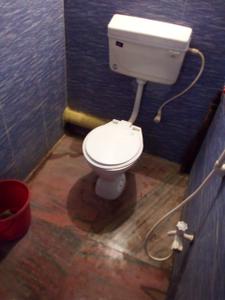 Bathroom Image of 150 Sq.ft 1 RK Independent House for rent in Purba Barisha Kolkata for Rs. 6400