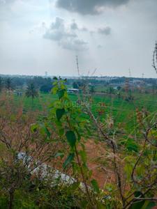 Image of 844 Sq.ft 3 BHK Apartment / Flat for sale in Icon Iconest by Iconhomz, Sarjapur, Bengaluru for Rs. 6000000