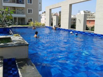 Image of 1377 Sq.ft 2.5 BHK Apartment / Flat for rent in Abhinav Amara Courtyard, Marathahalli, Bengaluru for Rs. 55000