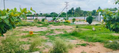 Esther Spice Village Plot View 1
