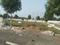 Yerla Plot View 2