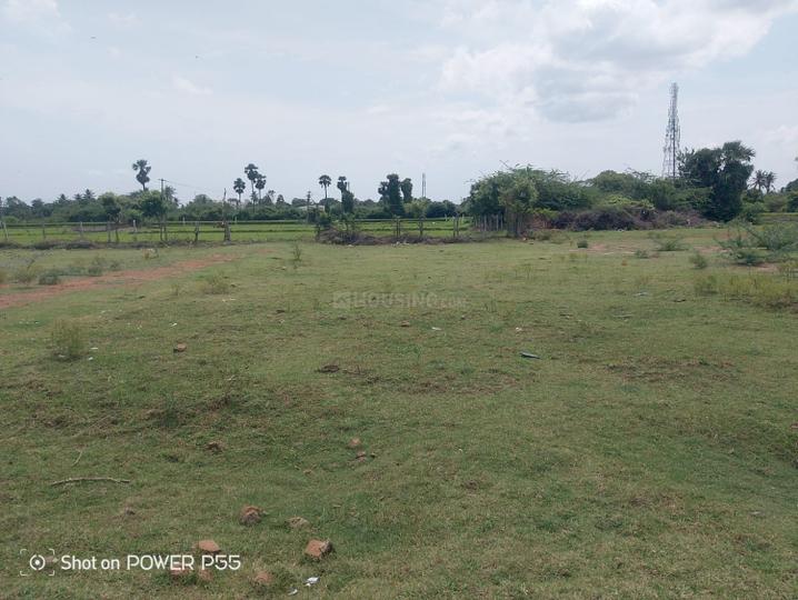 Pavendar Salai Main Image 1