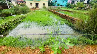 Janla Plot View 1