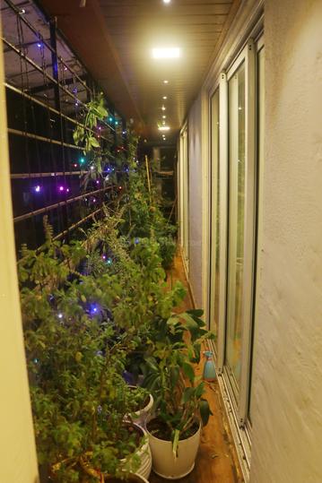 Anand Park, Dahisar West Main Image 1