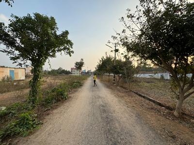 Residential Plot