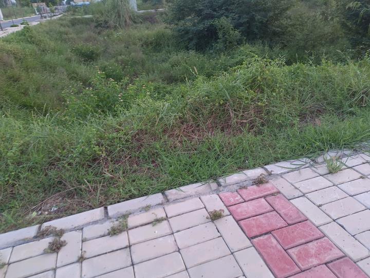 Spiti Homes Main Image 1