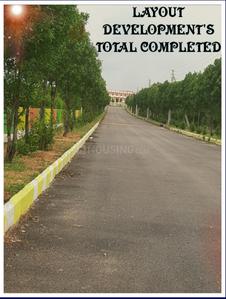 Residential Plot
