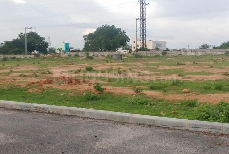 Sark Green Space Main Image 1