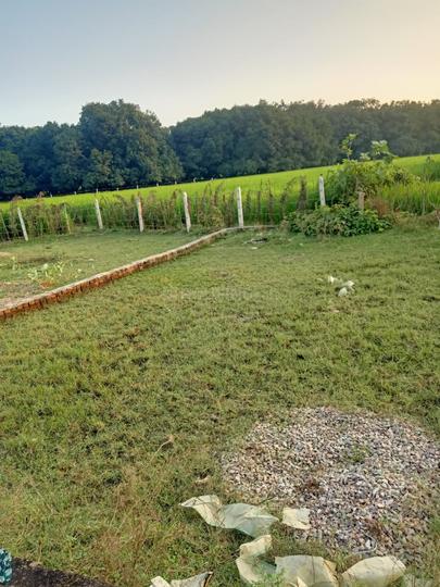 Fatehganj Main Image 1