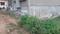 RPS More Plot View 2