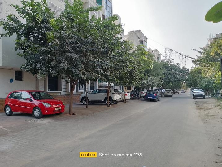 Lions lane Main Image 1