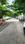 Dobbsapet Main Image 1