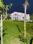 OMR Vanshivat Farm Main Image 1