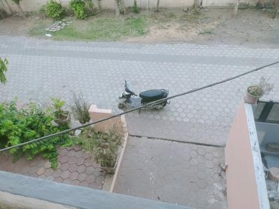 Image of 1700 Sq.ft 3 BHK Duplex for rent in Shanti Vihar, Indore for Rs. 20000