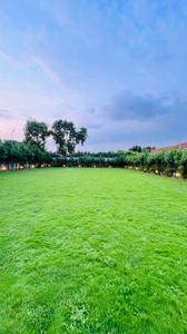 Image of 13500 Sq.ft 1 BHK Farm House for sale in Sector 14, Gurgaon for Rs. 70000011