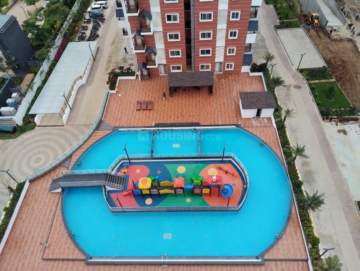 S And M Art Main Image 1