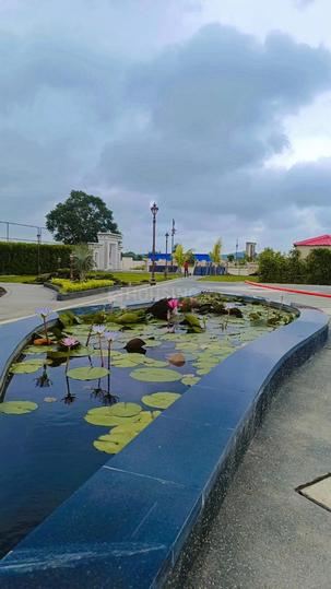 Drushika Imperial Main Image 1