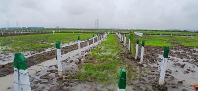 Image of 1089 Sq.ft Residential Plot / Land for sale in jui, Navi Mumbai for Rs. 600000