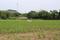 Jamtha Main Image 1