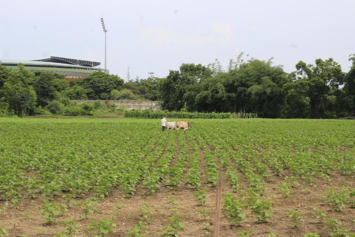 Jamtha Main Image 1