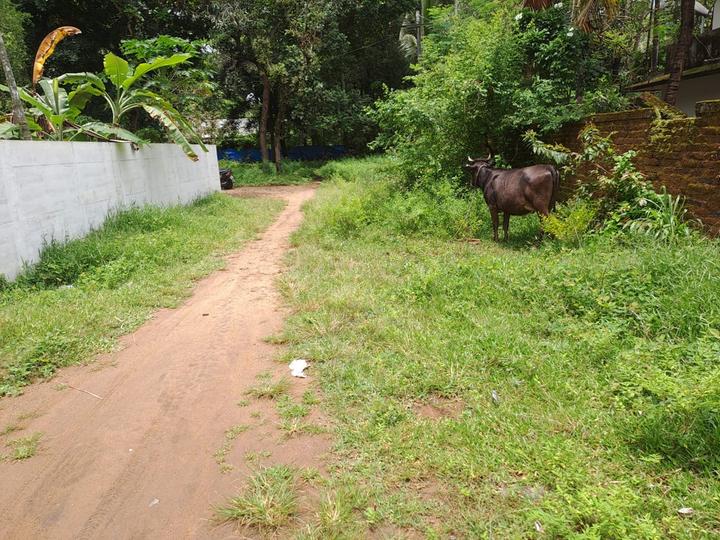 Residential 9000 Sqft Plot for sale at Guruvayoor, Thrissur Property