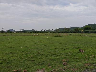 Image of 1000 Sq.ft Residential Plot / Land for sale in Singaperumal Koil, Chennai for Rs. 2000000