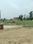 Dunga Main Image 1