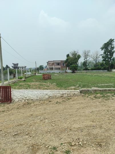 Dunga Main Image 1