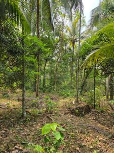 Image of 4655 Sq.ft Residential Plot / Land for sale in Minalur, Thrissur for Rs. 125000