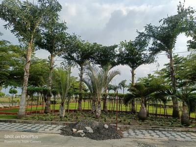 Image of 900 Sq.ft Residential Plot / Land for sale in Magar Kheda, Indore for Rs. 3330000