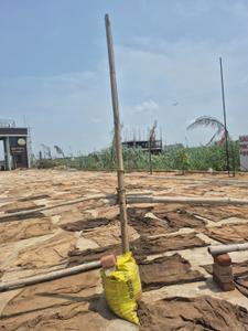 Image of 175 Sq.ft Residential Plot / Land for sale in Sector 3, Bahadurgarh for Rs. 10675000