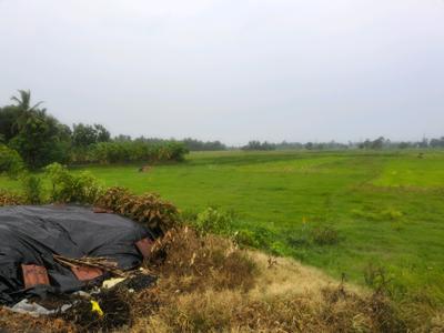 Golden city 2 plot Plot View 1