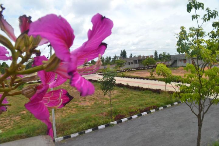 SBM Colony, Anthivadi Main Image 1