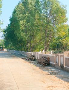 Image of 9520 Sq.ft Residential Plot / Land for sale in Thol, Ahmedabad for Rs. 16912000