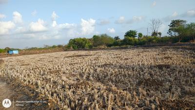 Residential Plot