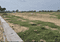 Palm Drive Main Image 1
