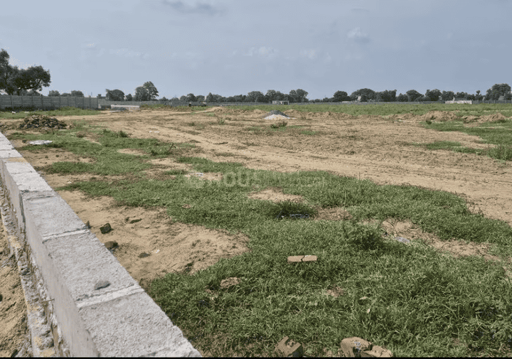 Palm Drive Main Image 1