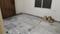 Balaji Nagar Bedroom One 1