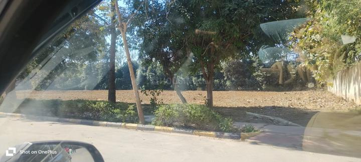 Central Park Flower Valley Main Image 1