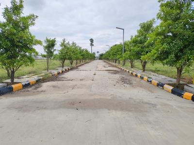 Residential Plot