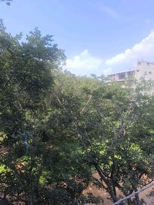 Bedroom Four Image of 3150 Sq.ft 5 BHK Apartment / Flat for sale in Bangalore City Municipal Corporation Layout Bengaluru for Rs. 29000100