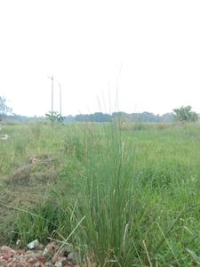 Image of 720 Sq.ft Residential Plot / Land for sale in Fresco Fountain City Plots, Sankharipota, Raypur for Rs. 320000
