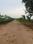 Farmlands available Main Image 1