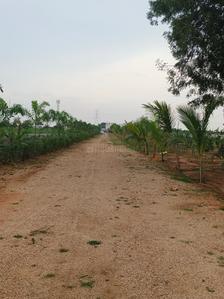 Farmlands available Plot View 1