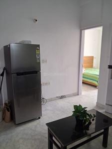 Hall Image of 900 Sq.ft 2 BHK Builder Floor for rent in HUDA Plot Sector 42, Sector 42 Gurgaon for Rs. 50000