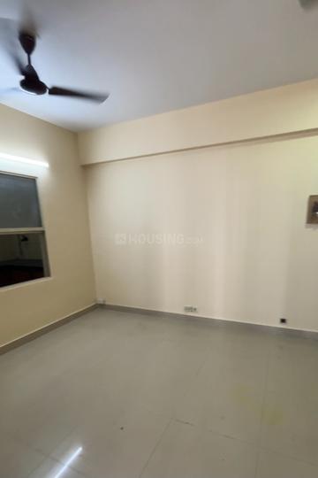 South City Garden Main Image 1